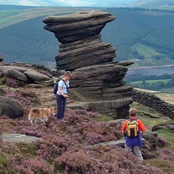 The Pepper-Pot: Mica, Liz and Chris