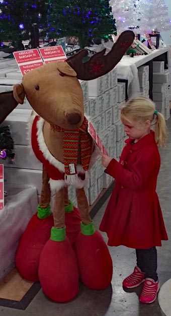 Freya and Alice at Country Market - they wouldn't pose together by the reindeer, hence two photographs!