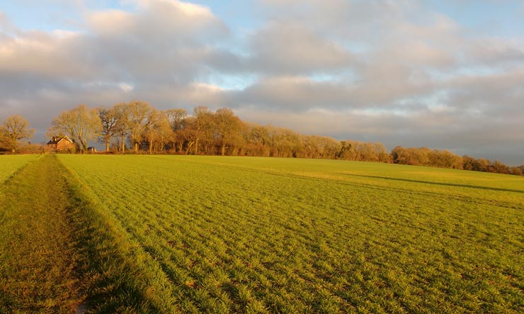 A field just outside Rowlands Castle