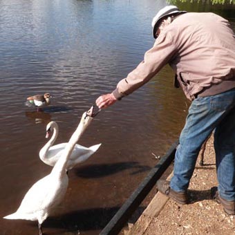 Keith, maker of the thumb stick, feeds the swans